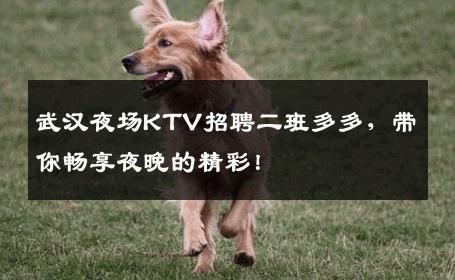 武汉夜场KTV招聘二班多多，带你畅享夜晚的精彩！