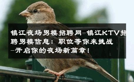 镇江夜场男模招聘网-镇江KTV招聘男模信息：职位等你来挑战-开启你的夜场新篇章！ 