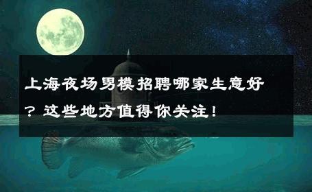 上海夜场男模招聘哪家生意好？这些地方值得你关注！ 