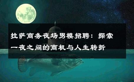 拉萨商务夜场男模招聘：探索一夜之间的商机与人生转折 
