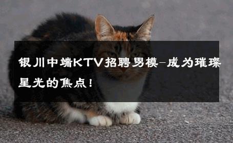 银川中端KTV招聘男模-成为璀璨星光的焦点！ 