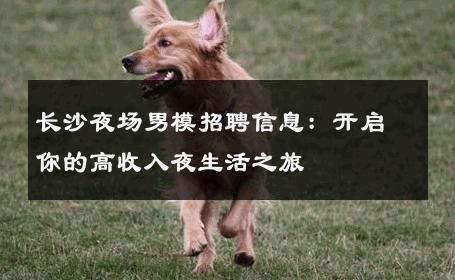 长沙夜场男模招聘信息：开启你的高收入夜生活之旅 