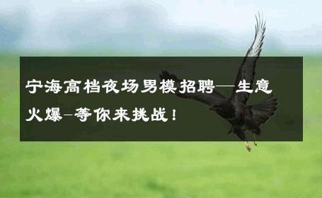 宁海高档夜场男模招聘—生意火爆-等你来挑战！ 