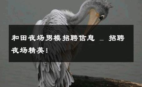 和田夜场男模招聘信息 _ 招聘夜场精英！ 