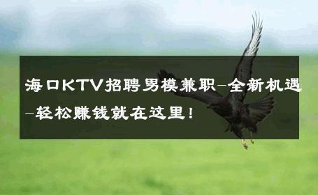 海口KTV招聘男模兼职-全新机遇-轻松赚钱就在这里！ 