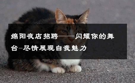 绵阳夜店招聘——闪耀你的舞台-尽情展现自我魅力 