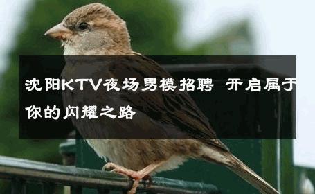 沈阳KTV夜场男模招聘-开启属于你的闪耀之路 