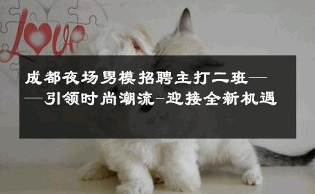 成都夜场男模招聘主打二班——引领时尚潮流-迎接全新机遇 