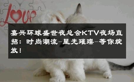 嘉兴环球盛世夜总会KTV夜场直招：时尚潮流-星光璀璨-等你绽放！ 