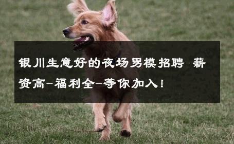 银川生意好的夜场男模招聘-薪资高-福利全-等你加入！ 