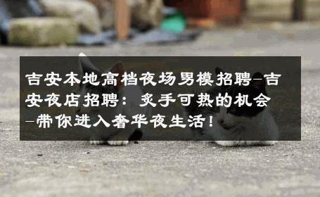 吉安本地高档夜场男模招聘-吉安夜店招聘：炙手可热的机会-带你进入奢华夜生活！ 