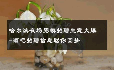 哈尔滨夜场男模招聘生意火爆-酒吧招聘信息助你圆梦 
