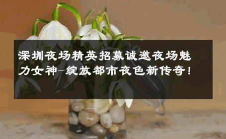 深圳夜场精英招募诚邀夜场魅力女神-绽放都市夜色新传奇！ 