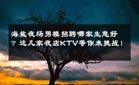 海盐夜场男模招聘哪家生意好？这几家夜店KTV等你来挑战！ 