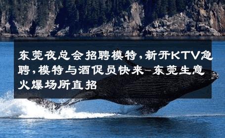 东莞夜总会招聘模特,新开KTV急聘,模特与酒促员快来-东莞生意火爆场所直招
