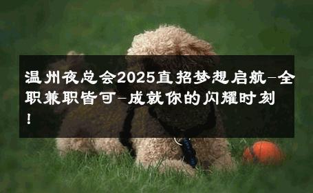 温州夜总会2025直招梦想启航-全职兼职皆可-成就你的闪耀时刻！ 