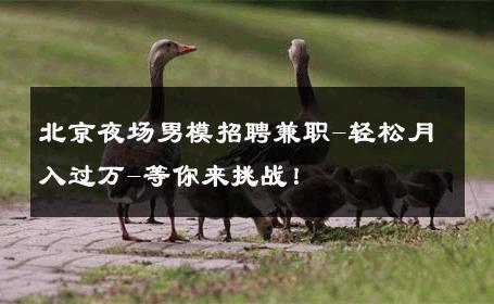 北京夜场男模招聘兼职-轻松月入过万-等你来挑战！ 
