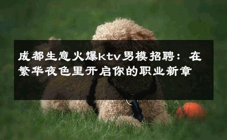 成都生意火爆ktv男模招聘：在繁华夜色里开启你的职业新章 