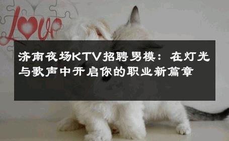 济南夜场KTV招聘男模：在灯光与歌声中开启你的职业新篇章 
