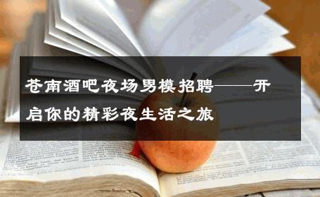 苍南酒吧夜场男模招聘——开启你的精彩夜生活之旅 