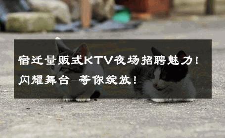宿迁量贩式KTV夜场招聘魅力！闪耀舞台-等你绽放！ 