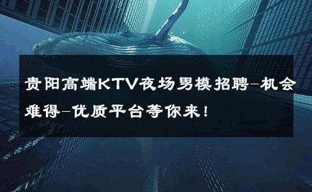 贵阳高端KTV夜场男模招聘-机会难得-优质平台等你来！ 