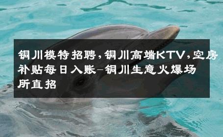铜川模特招聘,铜川高端KTV,空房补贴每日入账-铜川生意火爆场所直招