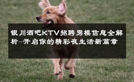 银川酒吧KTV招聘男模信息全解析-开启你的精彩夜生活新篇章 