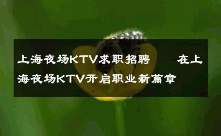 上海夜场KTV求职招聘——在上海夜场KTV开启职业新篇章 