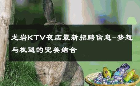 龙岩KTV夜店最新招聘信息-梦想与机遇的完美结合 