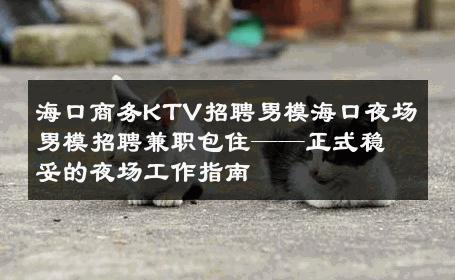 海口商务KTV招聘男模海口夜场男模招聘兼职包住——正式稳妥的夜场工作指南 