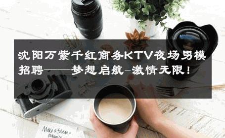 沈阳万紫千红商务KTV夜场男模招聘——梦想启航-激情无限！ 