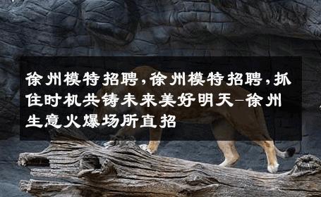 徐州模特招聘,徐州模特招聘,抓住时机共铸未来美好明天-徐州生意火爆场所直招