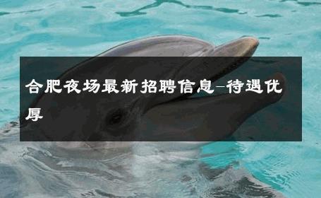 合肥夜场最新招聘信息-待遇优厚 