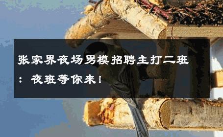 张家界夜场男模招聘主打二班：夜班等你来！ 