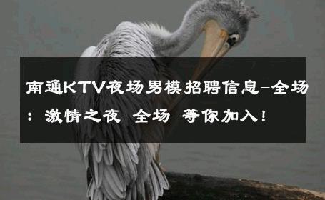 南通KTV夜场男模招聘信息-全场：激情之夜-全场-等你加入！ 