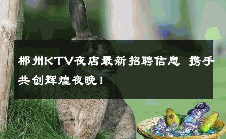 郴州KTV夜店最新招聘信息-携手共创辉煌夜晚！ 