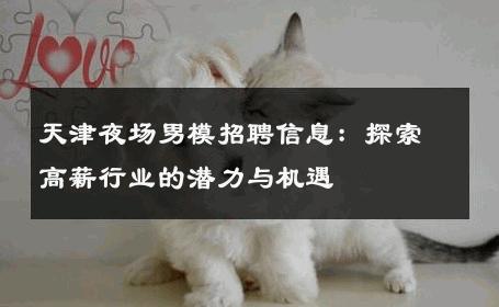 天津夜场男模招聘信息：探索高薪行业的潜力与机遇 