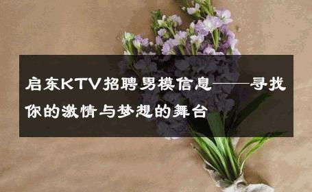 启东KTV招聘男模信息——寻找你的激情与梦想的舞台 