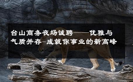 台山商务夜场诚聘——优雅与气质并存-成就你事业的新高峰 