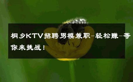 桐乡KTV招聘男模兼职-轻松赚-等你来挑战！ 