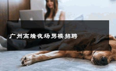 广州高端夜场男模招聘 