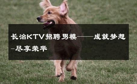 长治KTV招聘男模——成就梦想-尽享荣华 