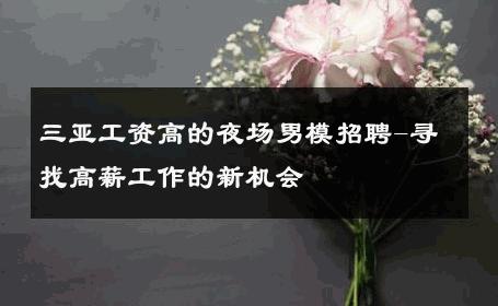 三亚工资高的夜场男模招聘-寻找高薪工作的新机会 