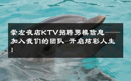 崇左夜店KTV招聘男模信息——加入我们的团队-开启炫彩人生！ 