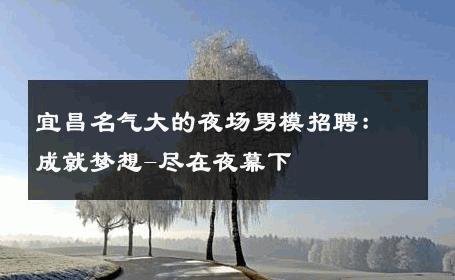 宜昌名气大的夜场男模招聘：成就梦想-尽在夜幕下 