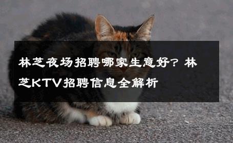 林芝夜场招聘哪家生意好？林芝KTV招聘信息全解析