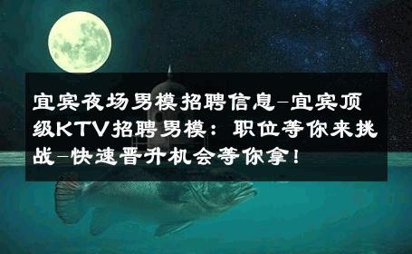宜宾夜场男模招聘信息-宜宾顶级KTV招聘男模：职位等你来挑战-快速晋升机会等你拿！ 