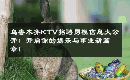 乌鲁木齐KTV招聘男模信息大公开：开启你的娱乐与事业新篇章！ 