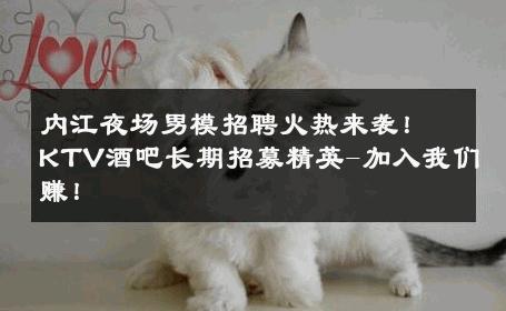 内江夜场男模招聘火热来袭！KTV酒吧长期招募精英-加入我们赚！ 